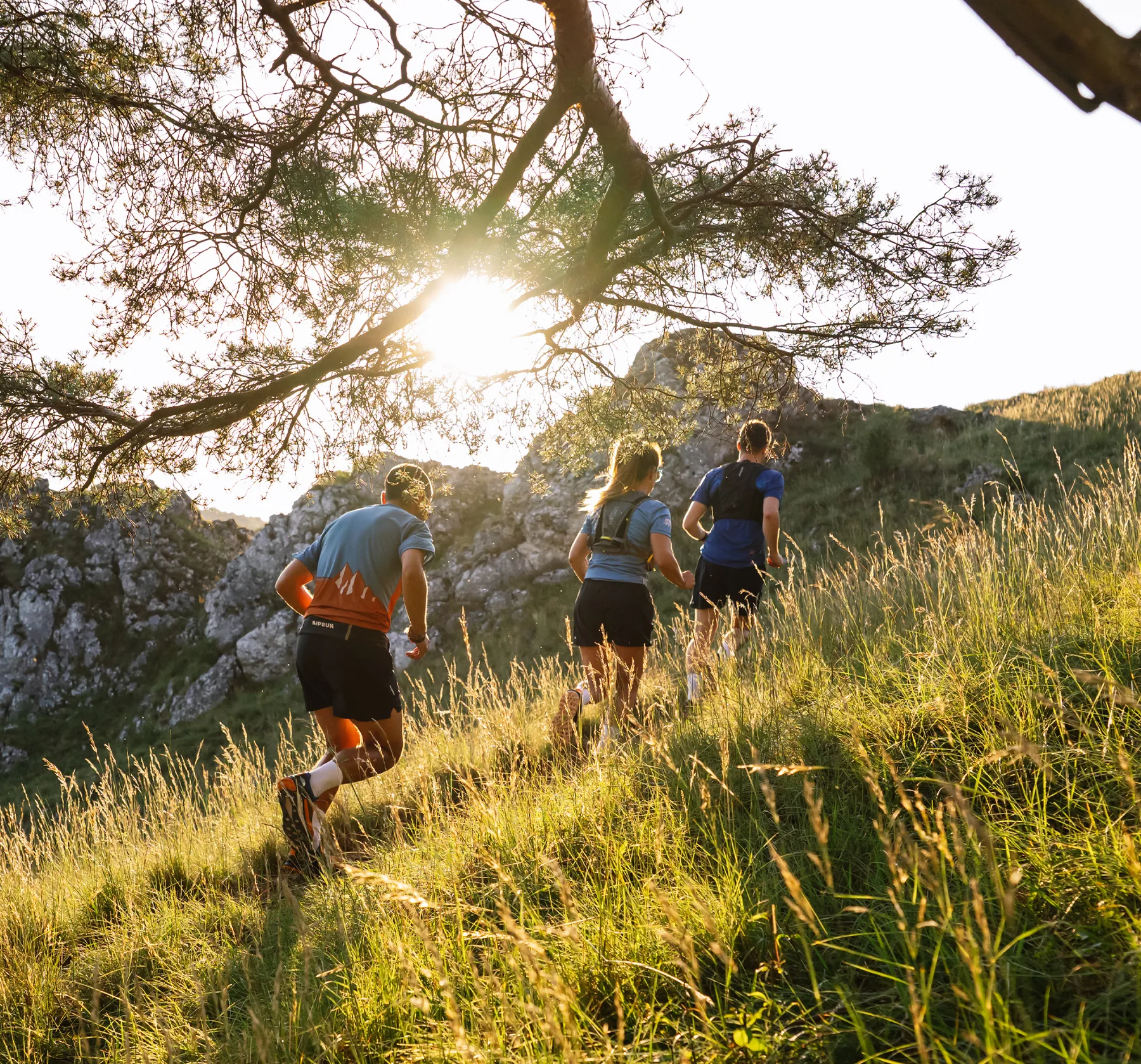 Drei Läufer in sportlicher Kleidung joggen einen bewaldeten Hügel entlang, während die Sonne hinter ihnen aufgeht.